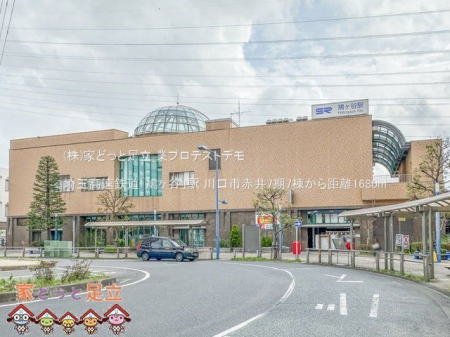 ���ӊ��@��ʍ����S���u�����J�v�w �B�e��(2024-04-08) 1680m