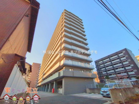 ���n�O�ώʐ^�@�B�e��(2024-11-22 00:00:00)