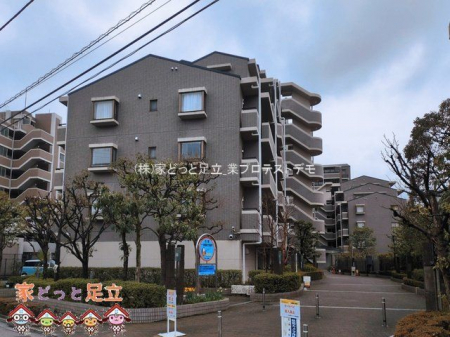 ���n�O�ώʐ^�@�B�e��(2026-03-10)