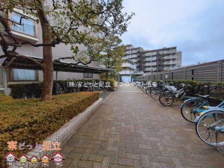 ���n�O�ώʐ^�@�B�e��(2026-03-10 00:00:00)