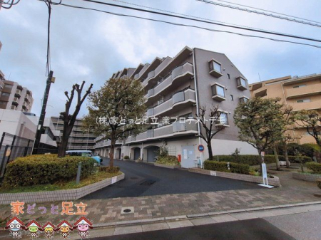 ���n�O�ώʐ^�@�B�e��(2026-03-10)