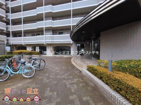 �G���g�����X�@�B�e��(2026-03-10 00:00:00)