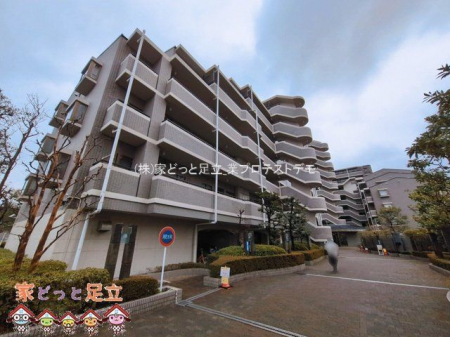 ���n�O�ώʐ^�@�B�e��(2026-03-10 00:00:00)