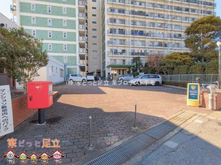 ���n�O�ώʐ^�@�B�e��(2026-02-09 00:00:00)