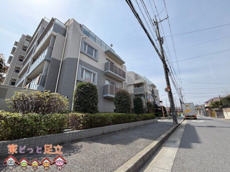 ���n�O�ώʐ^�@�B�e��(2025-11-13 00:00:00)