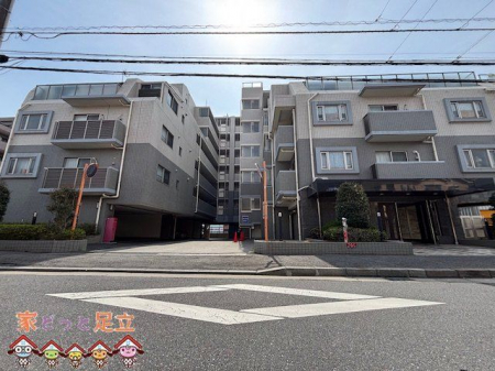 ���n�O�ώʐ^�@�B�e��(2025-11-13)