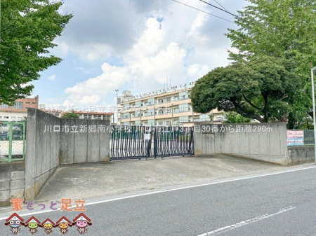 ���ӊ��@����s���V���쏬�w�Z �B�e��(2024-09-12) 290m