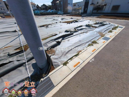 ���n�y�n�ʐ^�@�B�e��(2026-03-11 00:00:00)