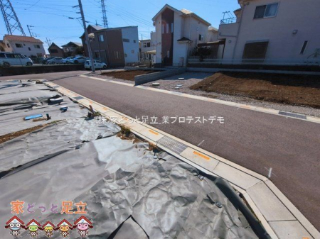 ���n�y�n�ʐ^�@�B�e��(2026-03-11 00:00:00)