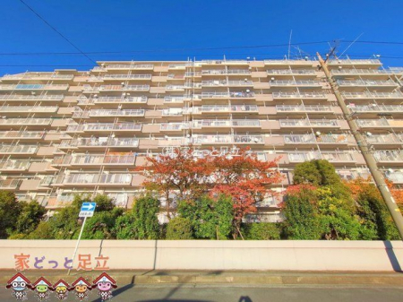 ���n�O�ώʐ^�@�B�e��(2024-11-11 00:00:00)