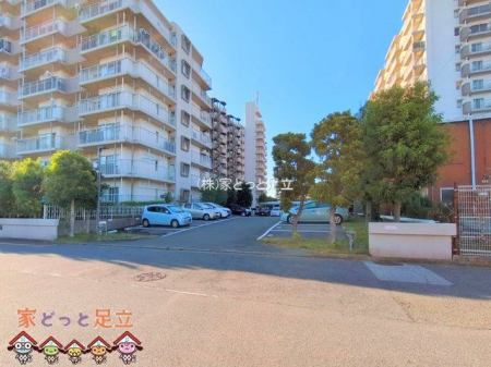 ���n�O�ώʐ^�@�B�e��(2024-11-11 00:00:00)