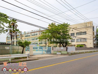 ���n�O�ώʐ^